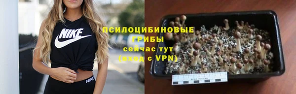 ГАЛЛЮЦИНОГЕННЫЕ ГРИБЫ Володарск