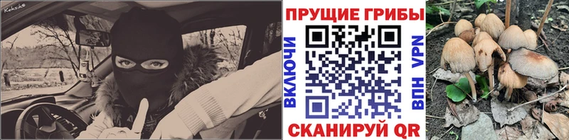 Псилоцибиновые грибы Psilocybine cubensis  Купить закладки  Астрахань 